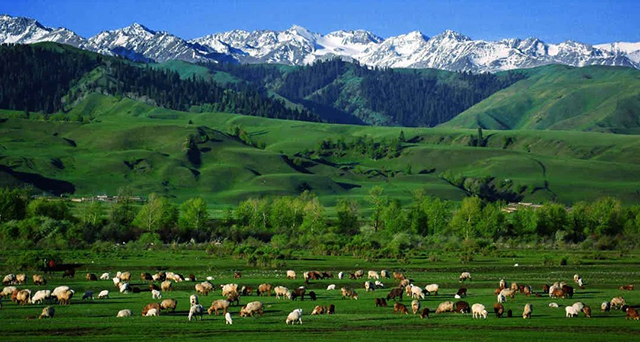 第六屆草原民族服飾與現代時裝定制技術研討會 第六屆草原民族服飾與現代時裝定制技術研討會